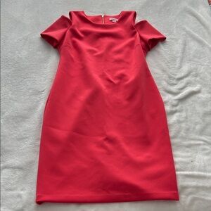 Calvin Klein Scarlet Mini Dress